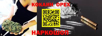 крисы Славгород