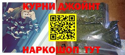 крисы Славгород